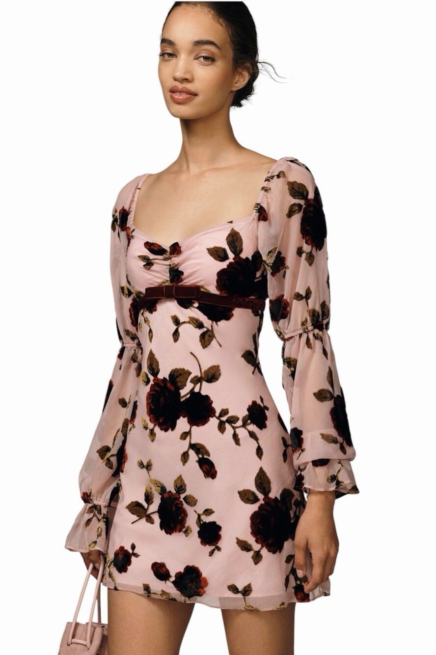 Avec Les Filles Whimsigoth Floral Velvet Burnout Mini Dress Size 8 Dark Coquette